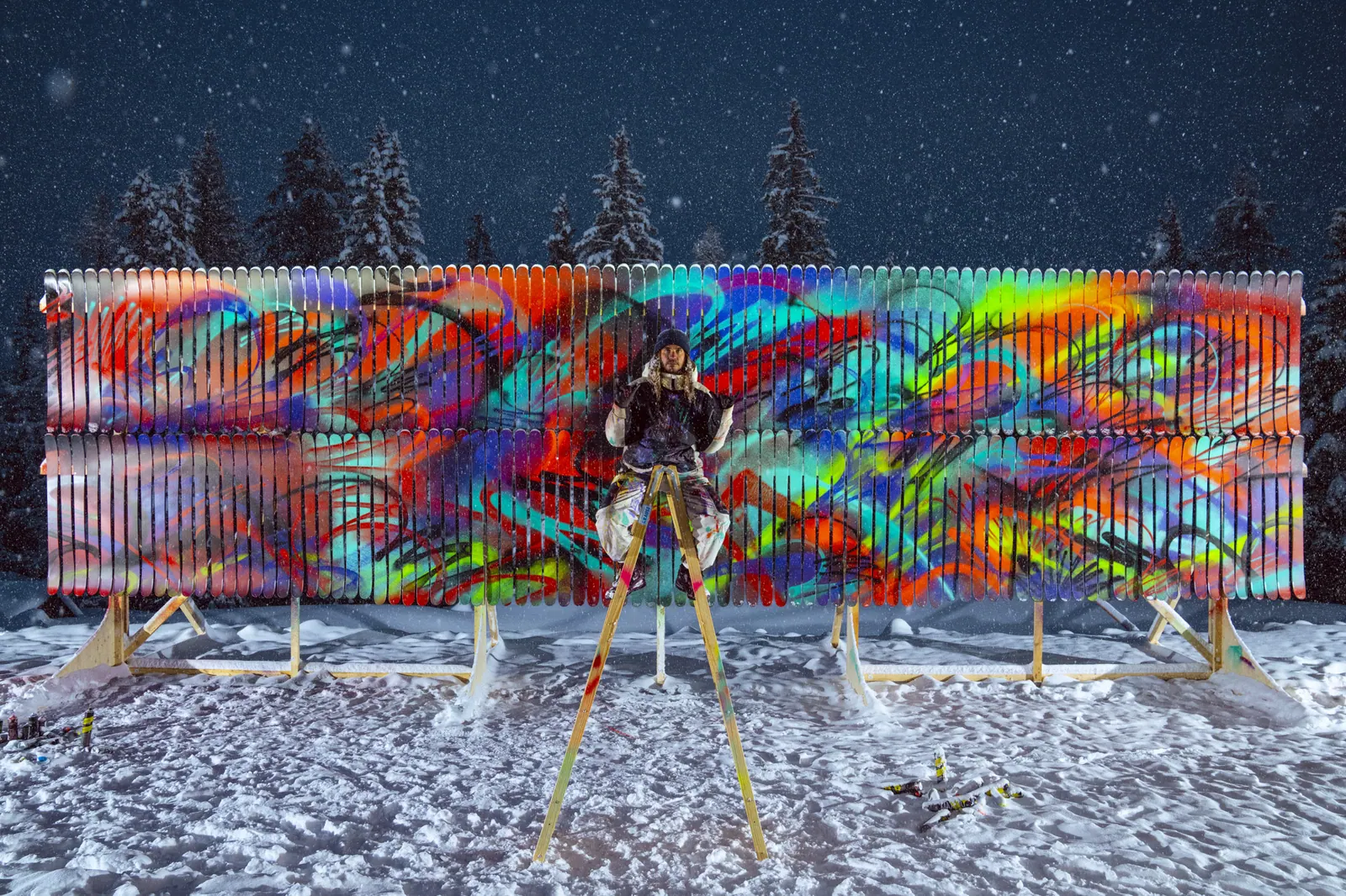 Armada Ski Wall — image 11