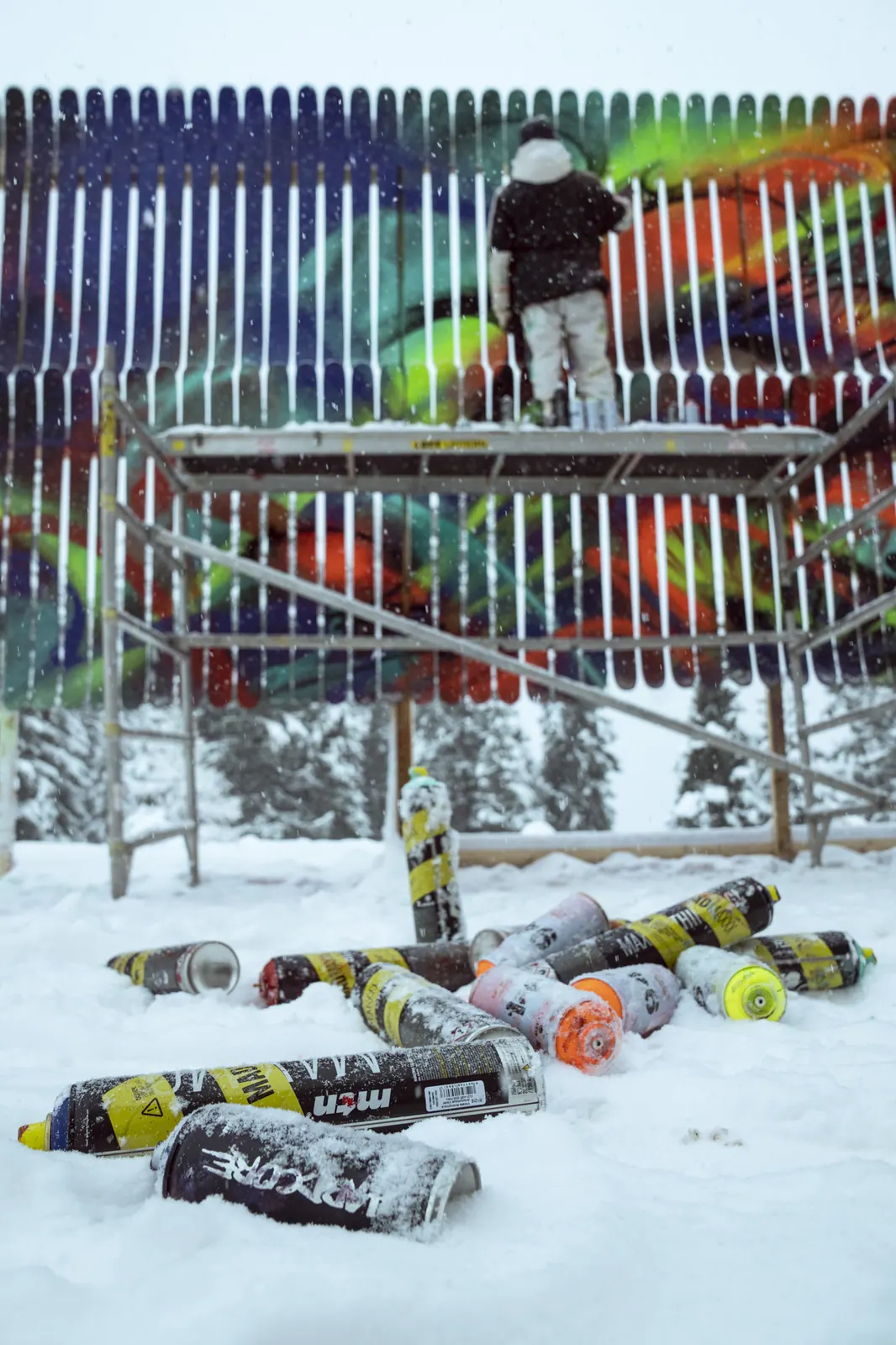 Armada Ski Wall — image 3
