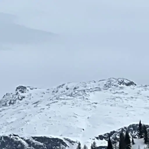 Armada Absolute Park — image 25