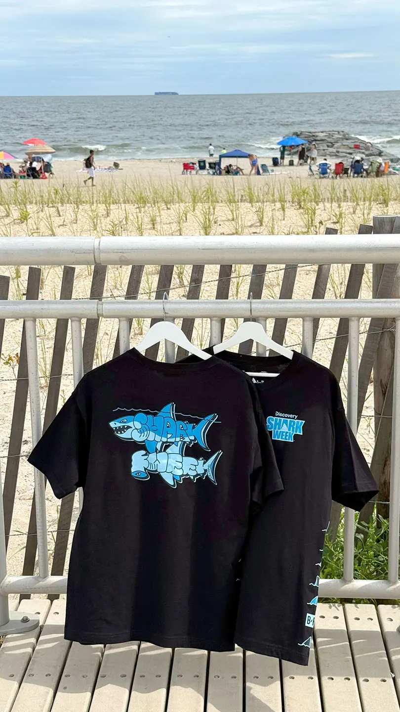 Shark Week — image 4