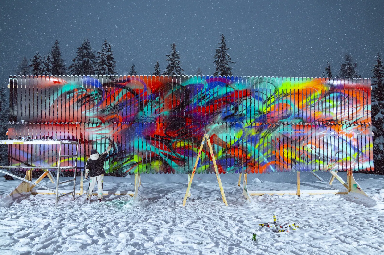 Armada Ski Wall — image 4